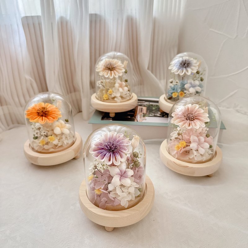 樺坊/畢業花盅/畢業禮物/太陽花花禮/玻璃盅/花盅/乾燥花 - 乾燥花/永生花 - 植物．花 