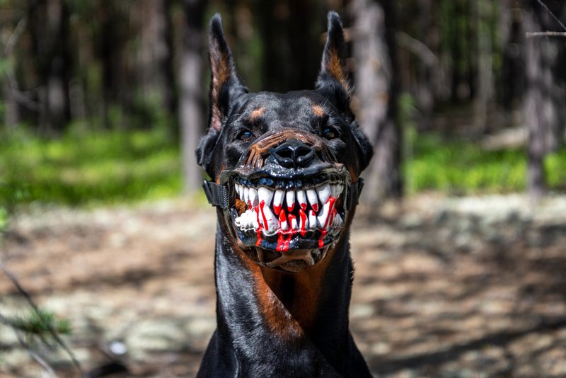 Werewolf Dog muzzle Scary Doberman muzzles Pet Gift Halloween Costume Dog Mask - Other - Plastic 