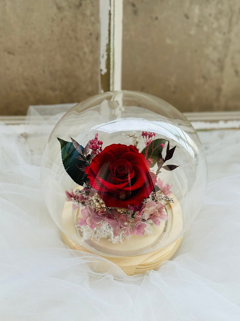 經典永生玫瑰花玻璃盅 - 乾燥花/永生花 - 植物．花 紅色