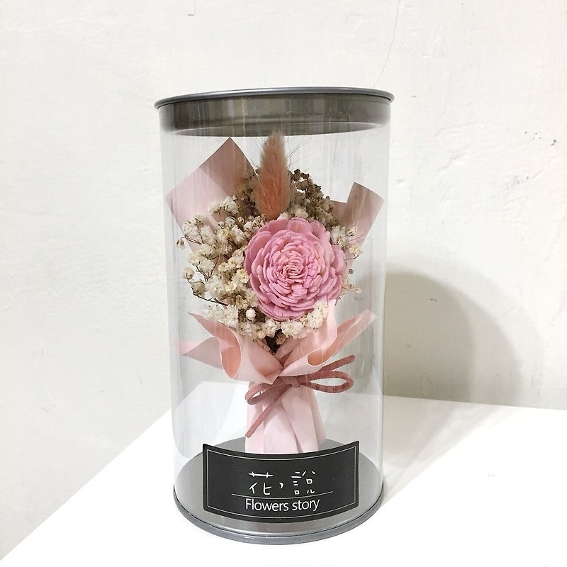 瓶中花粉色太陽玫瑰*粉色-含盒 - 植栽/盆栽 - 植物．花 粉紅色