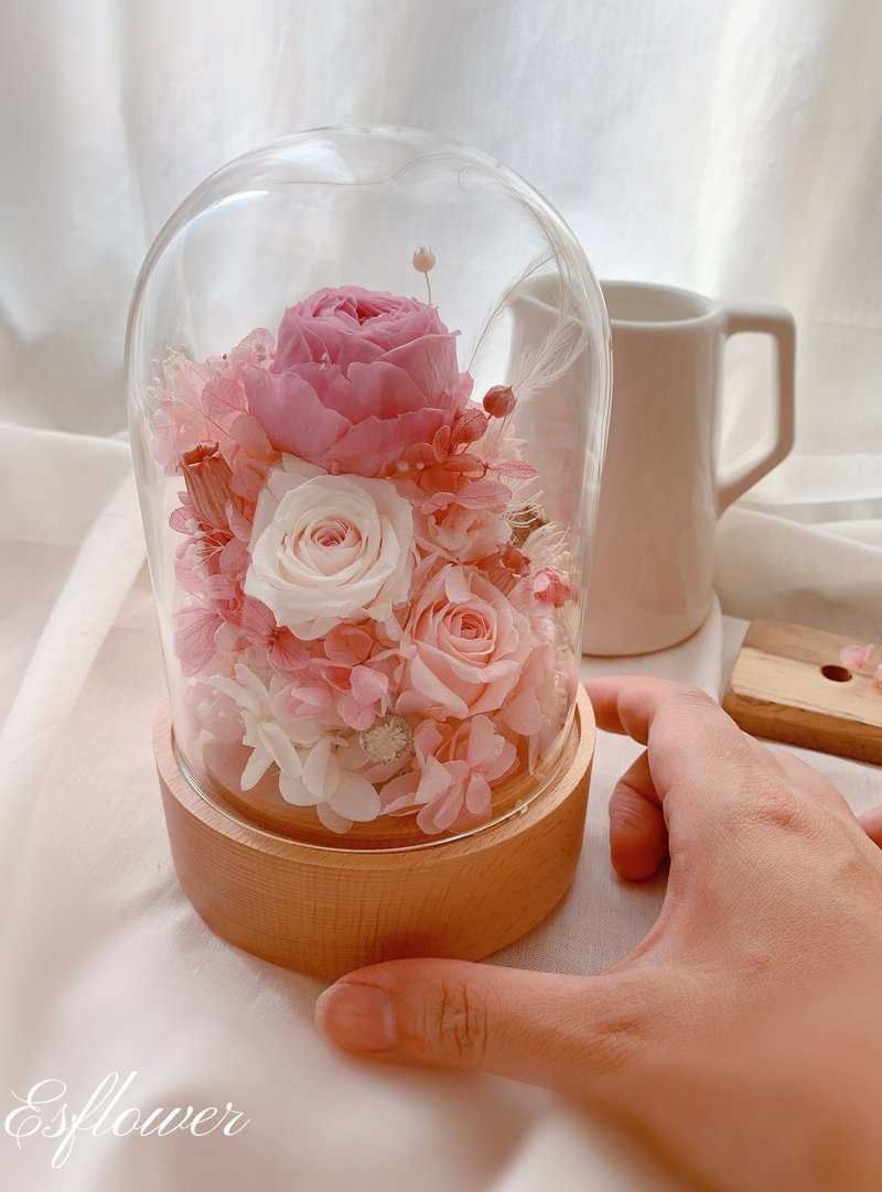 Pink Rose Garden Rotating Music Box - Dried Flowers & Bouquets - Plants & Flowers Pink