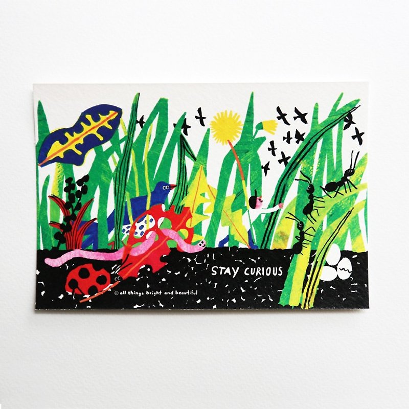 Curious Postcard - การ์ด/โปสการ์ด - กระดาษ สีเขียว