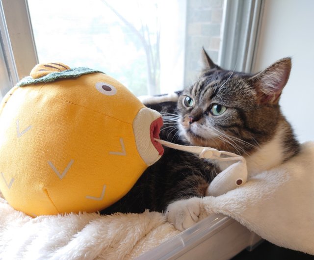 しっぽと私 海の動物のぬいぐるみ 噛む 抱きしめる フグのボビー ショップ Tailsandme おもちゃ Pinkoi