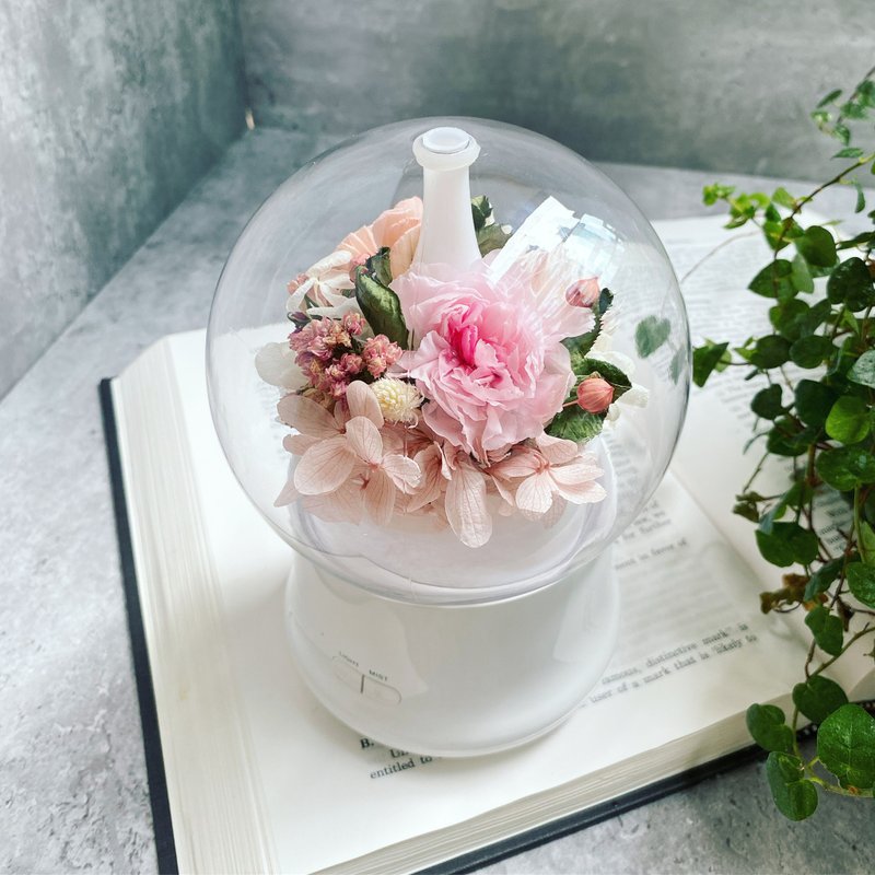 [Carnation Everlasting Flower Night Light Water Oxygen Machine Gift Box] Comes with a gift box | Mother’s Day gift | Three colors in total - ช่อดอกไม้แห้ง - พืช/ดอกไม้ สึชมพู