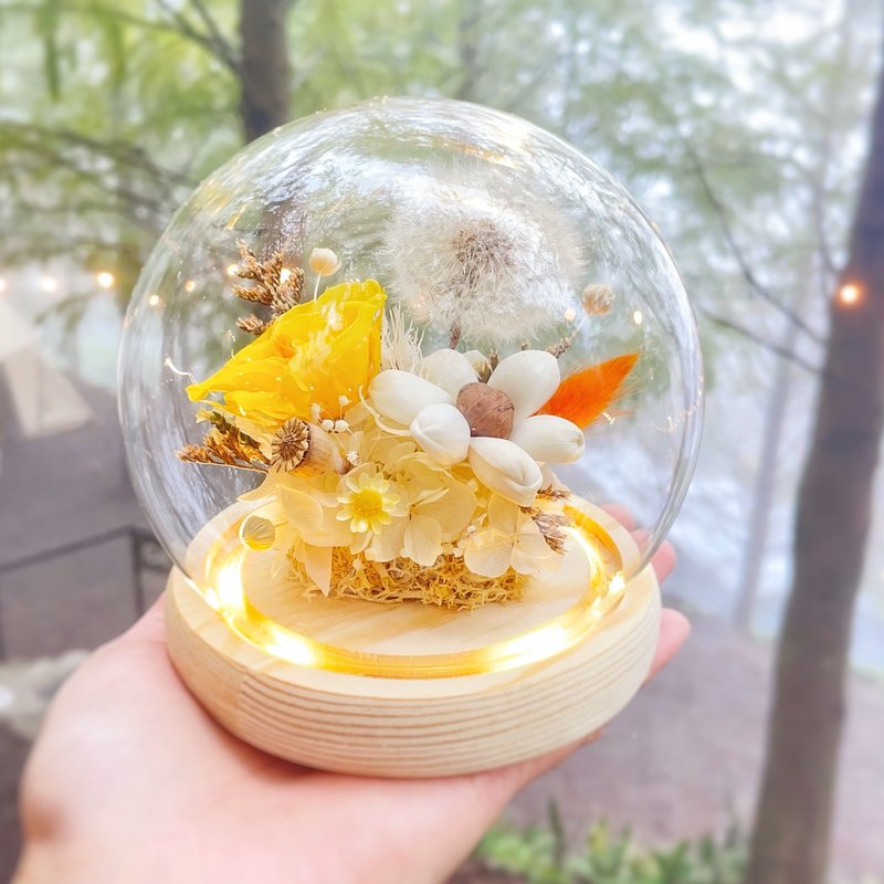 星願之光 永生花 蒲公英花燈 玻璃罩燈飾 畢業禮物 生日驚喜 - 乾燥花/永生花 - 植物．花 
