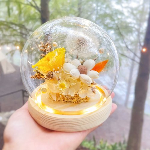Hey Bonnie 芸格花藝 星願之光 永生花 蒲公英花燈 玻璃罩燈飾 畢業禮物 生日驚喜