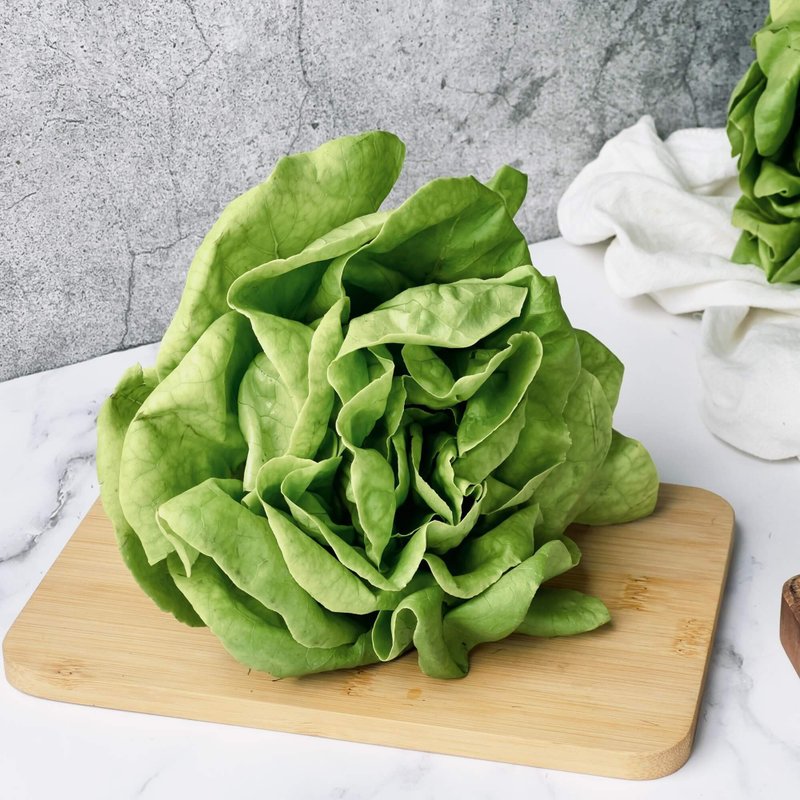 [Danyun Hydroponic Lettuce] 150g green cream, lettuce, salad, lettuce, hydroponic vegetables - Other - Fresh Ingredients 