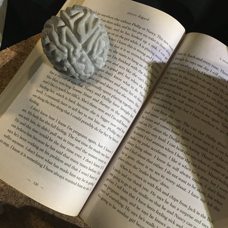 CONCRETE BRAIN PAPERWEIGHT - Items for Display - Cement Gray