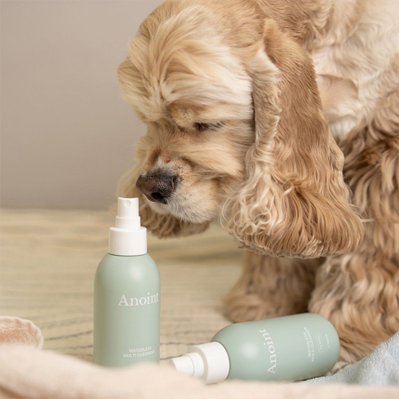 South Korea's Anoint flush-free dry cleaning solution for dogs, special for paw, butt, and mouth hair cleaning - ทำความสะอาด - พลาสติก 