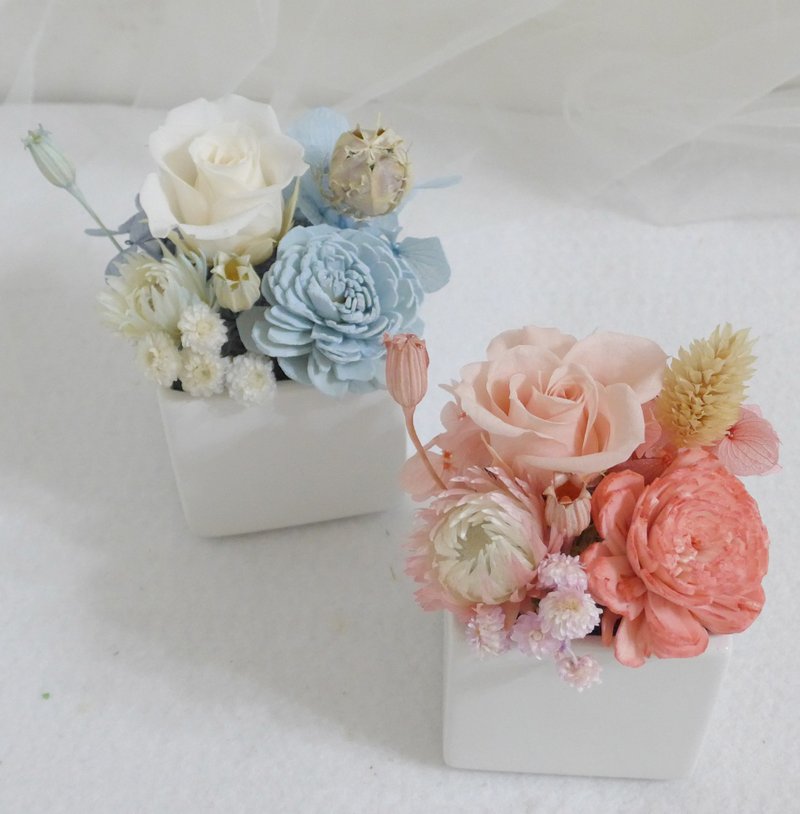 永生玫瑰盆花 開幕結婚捧花永生乾燥花情人節畢業謝師禮物生日畢 - 乾燥花/永生花 - 植物．花 多色