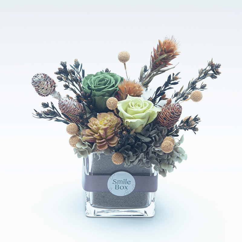 微光森林 柔霧綠 聖誕節  交換禮物 聖誕佈置 生日禮物 永生玫瑰 - 乾燥花/永生花 - 植物．花 