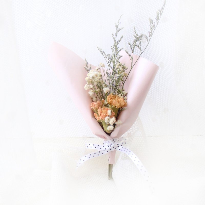 Sweet pink carnation ice cream bouquet - Plants - Plants & Flowers Pink
