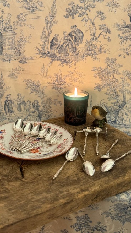 40019-フランスアンティークシルバースプーン12本入り - ショップ JSVS