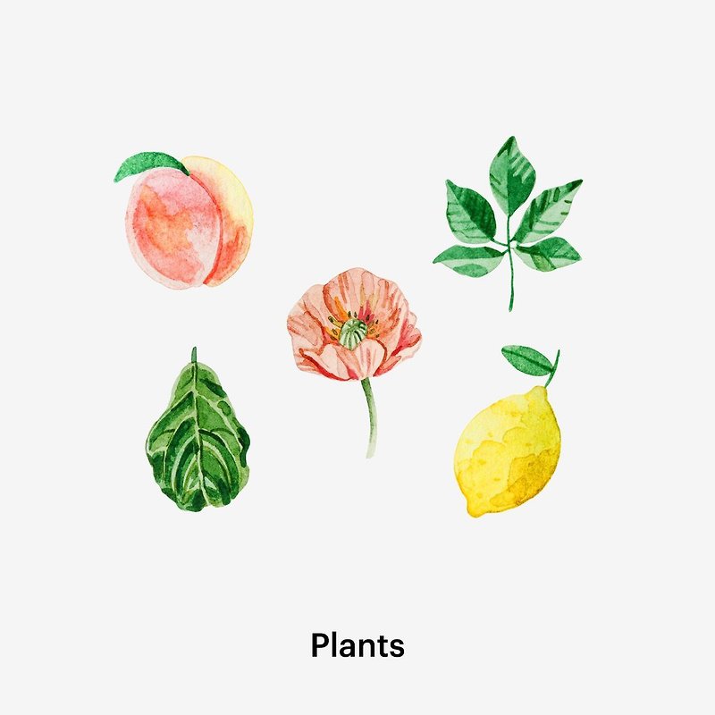 Plants Sticker Pack - สติกเกอร์ - กระดาษ หลากหลายสี