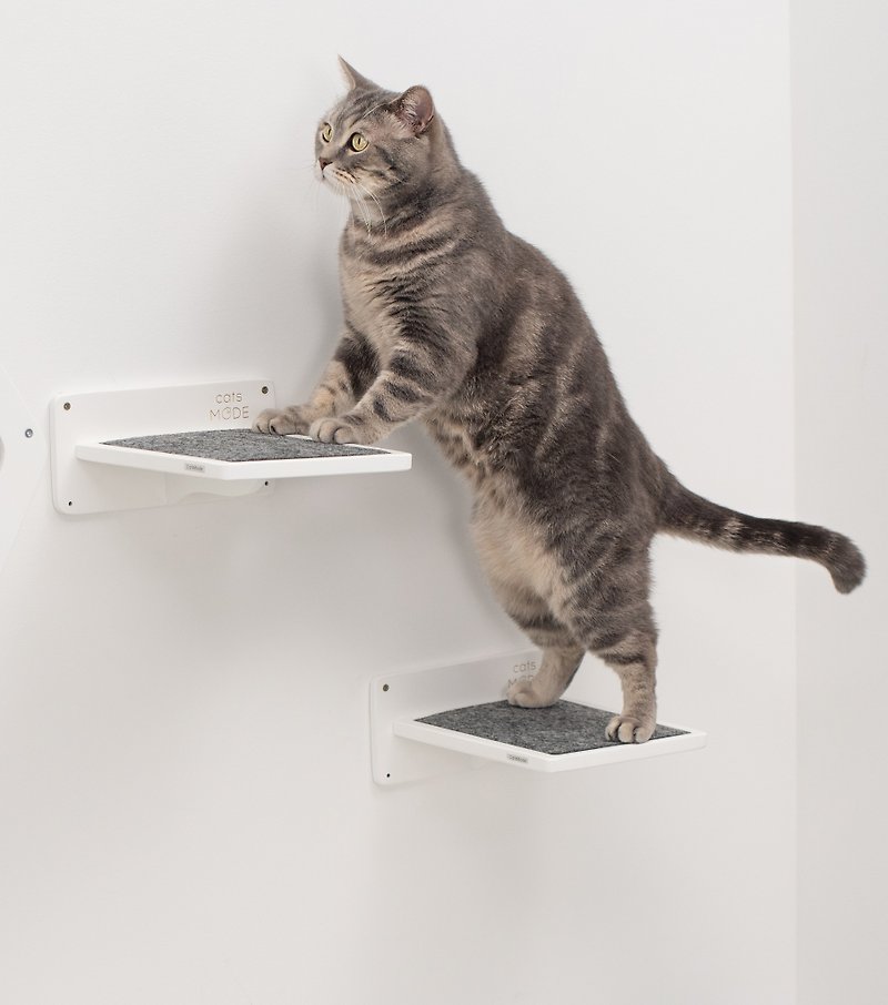 ขั้นตอนสำหรับแมวสำหรับผนัง, ชั้นปีนแมว, เฟอร์นิเจอร์สำหรับเล่นแมว, สนามเด็กเล่นส - อุปกรณ์แมว - ไม้ สีนำ้ตาล