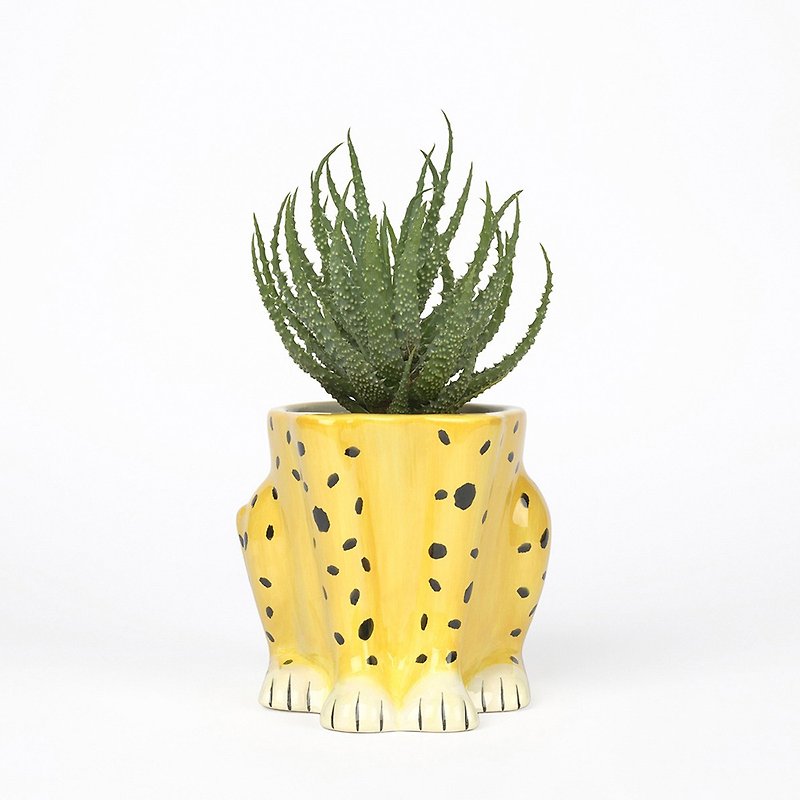 DOIY Leopard Flower Pot - Plants - Glass Yellow