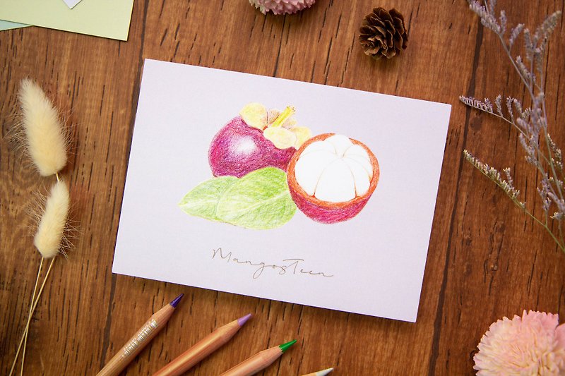 Hand Drawn Fruit Postcard - Mangosteen