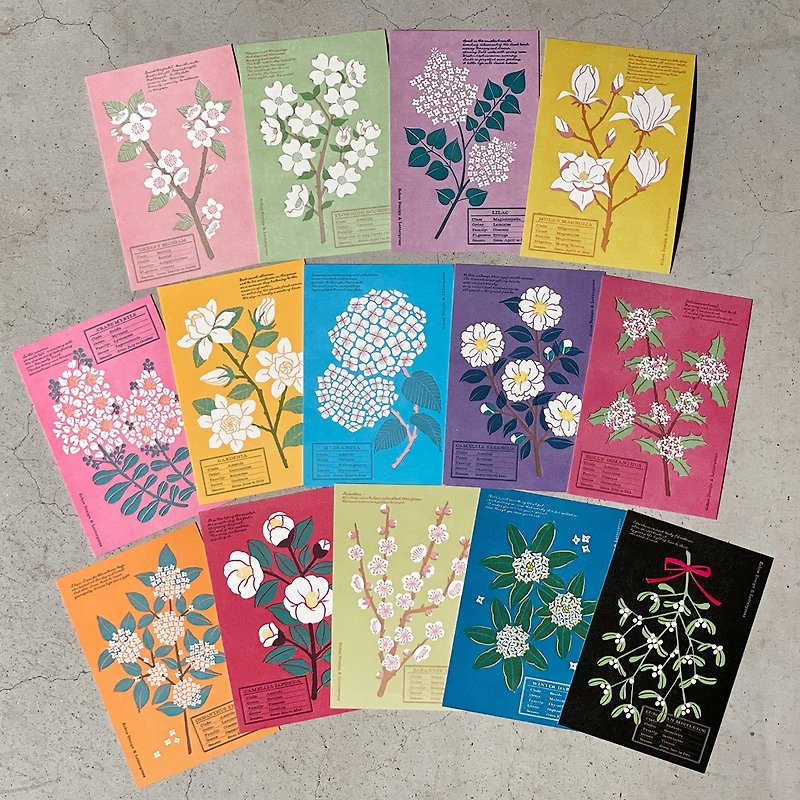 White Flower Postcard / Letterpress - การ์ด/โปสการ์ด - กระดาษ หลากหลายสี