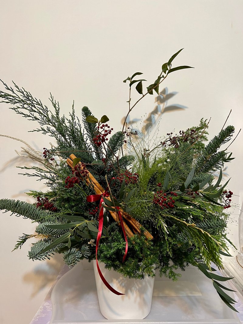 Sarah House客製紅色聖誕紅+銀葉菊植栽盆花2盆 - 盆栽/植栽 - 植物．花 