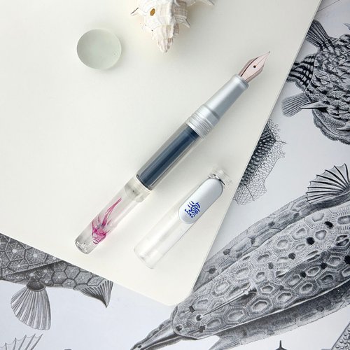 海琉生態藝術工作室 Kairu x SKB 透明標本鋼筆禮盒 共六色 琵琶鼠魚 鋼筆
