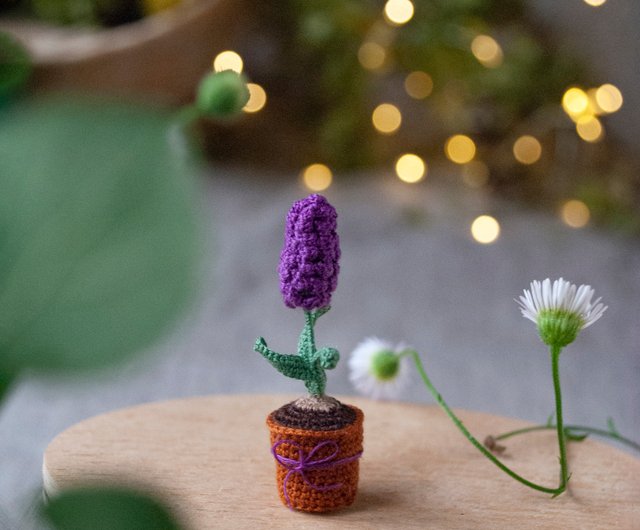 ミニチュア 鉢植え 花