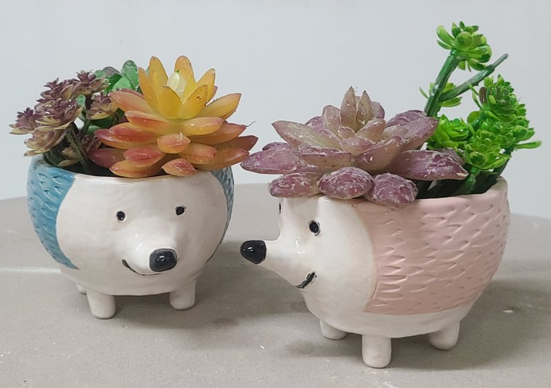 Miniature Schnauzer Ceramic Pots for Plants - เซรามิก - ดินเผา หลากหลายสี