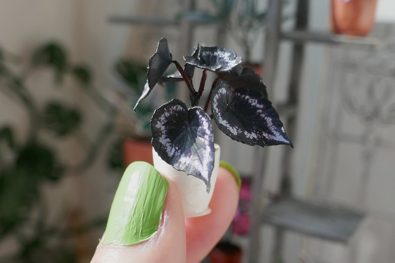 1:12ミニチュア植物|ベゴニアヘレンルイス - その他 - 紙 ブラック