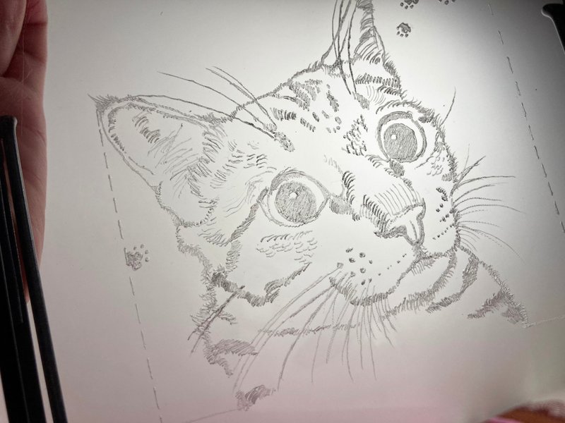 Custom engraving painting pet cat cat with creative gift packaging - Customized Portraits - Plastic 
