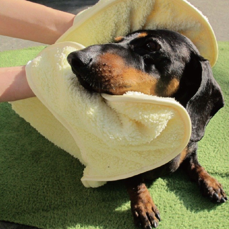 Quick-drying towel for pets【Polyte bottle recycled eco-friendly fiber fabric】 - อื่นๆ - วัสดุอีโค สีเหลือง