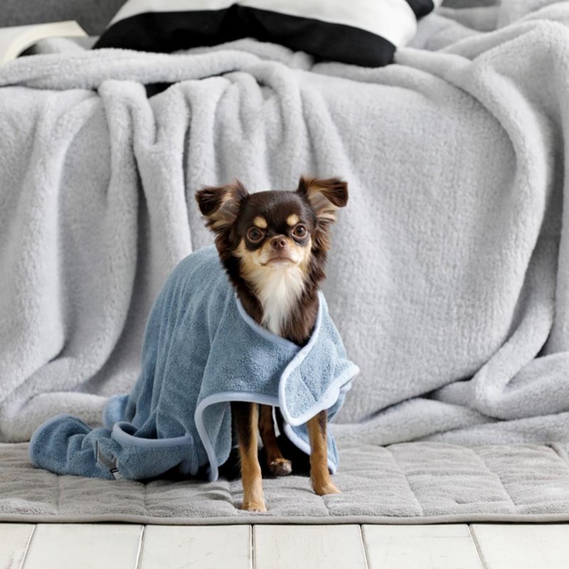 Charlie Pet Absorbent Towel - Bathrobe Type B - ทำความสะอาด - เส้นใยสังเคราะห์ หลากหลายสี