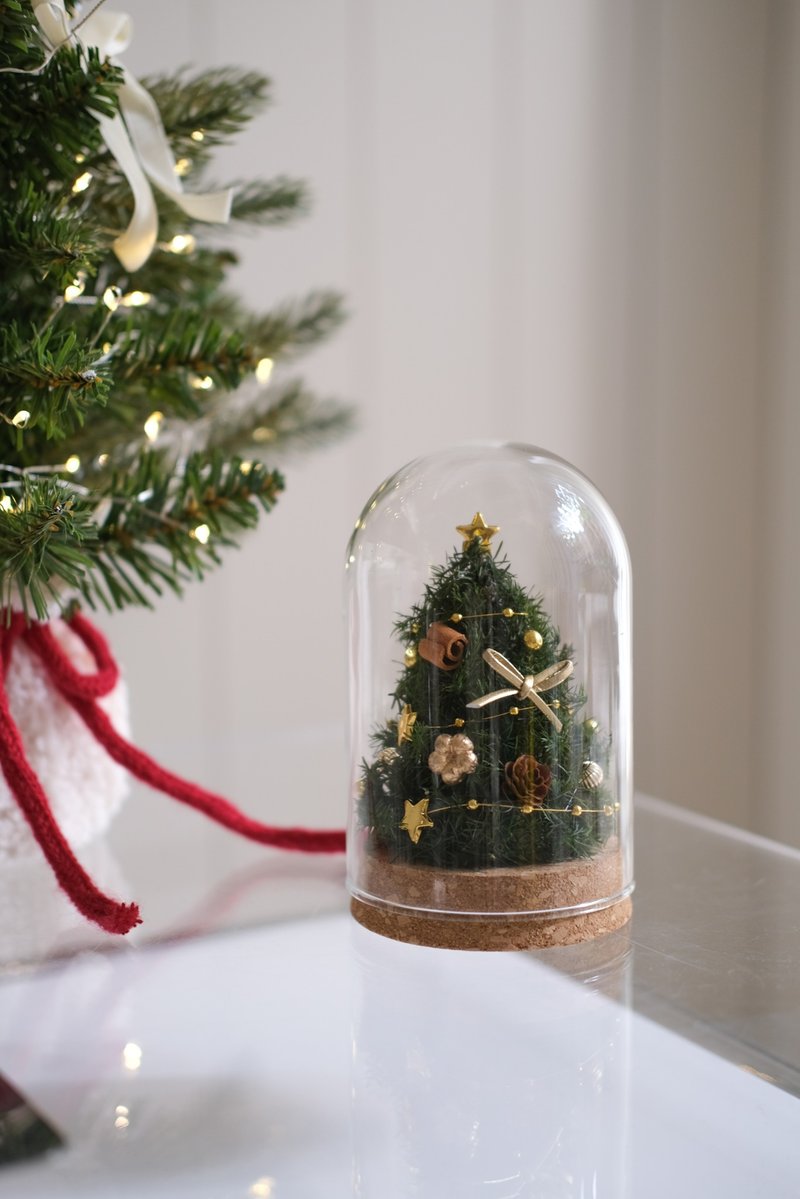 【聖誕禮盒】迷你聖誕樹玻璃桌擺 - 乾燥花/永生花 - 其他材質 綠色