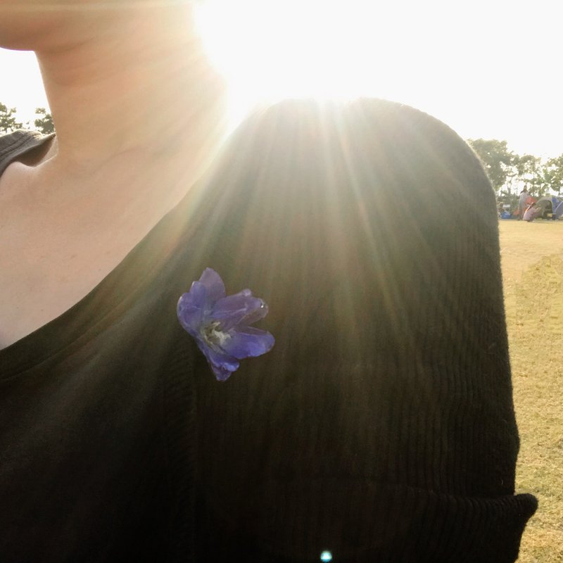 Real flower ornaments.*Delphinium brooch. .*Manually crafted with recycled flowers - Brooches - Plants & Flowers Blue