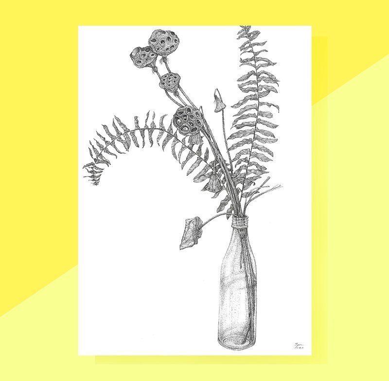 原創手繪藝術複製畫 / 卡片 - 腎蕨與蓮蓬 Tuberous Sword Fern & seedpod of the lotus illustration - 卡片/明信片 - 紙 透明