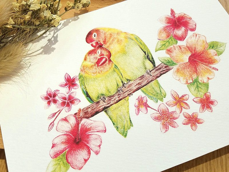 明信片- 甜甜的情侶鸚鵡 - 心意卡/卡片 - 紙 綠色