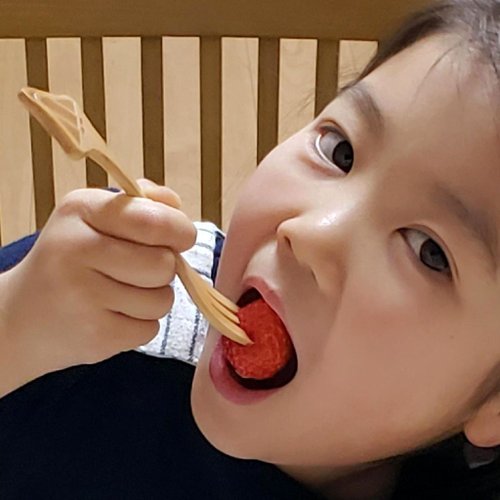 SPICE 日本雜貨 臺灣代理 【SPICE】日本 PETIT'S MAMAN 兒童 天然木頭叉子&湯匙套組-火箭