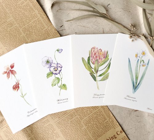 ビオラ-装飾画/ギフト/パッケージ付き/水彩画/手描き/イラスト