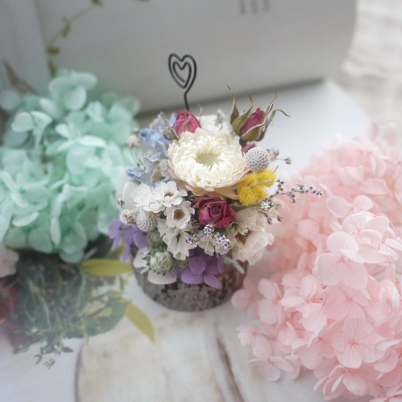 To be continued | small potted flowers and colorful colors dried flower memo clip wedding gift was a small ceremony bridesmaid gifts Wedding photography props home decoration office was smaller spot treatment - Plants - Plants & Flowers Multicolor