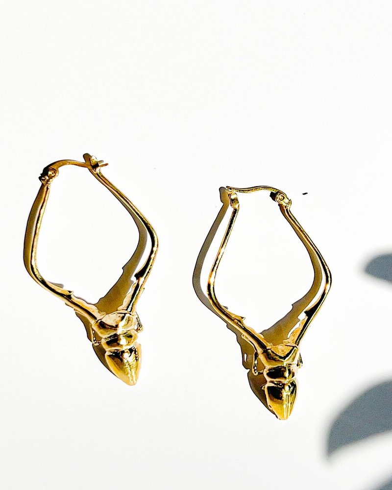 Weevil Hoop Earring-Brass - 耳環/耳夾/耳骨夾 - 銅/黃銅 金色