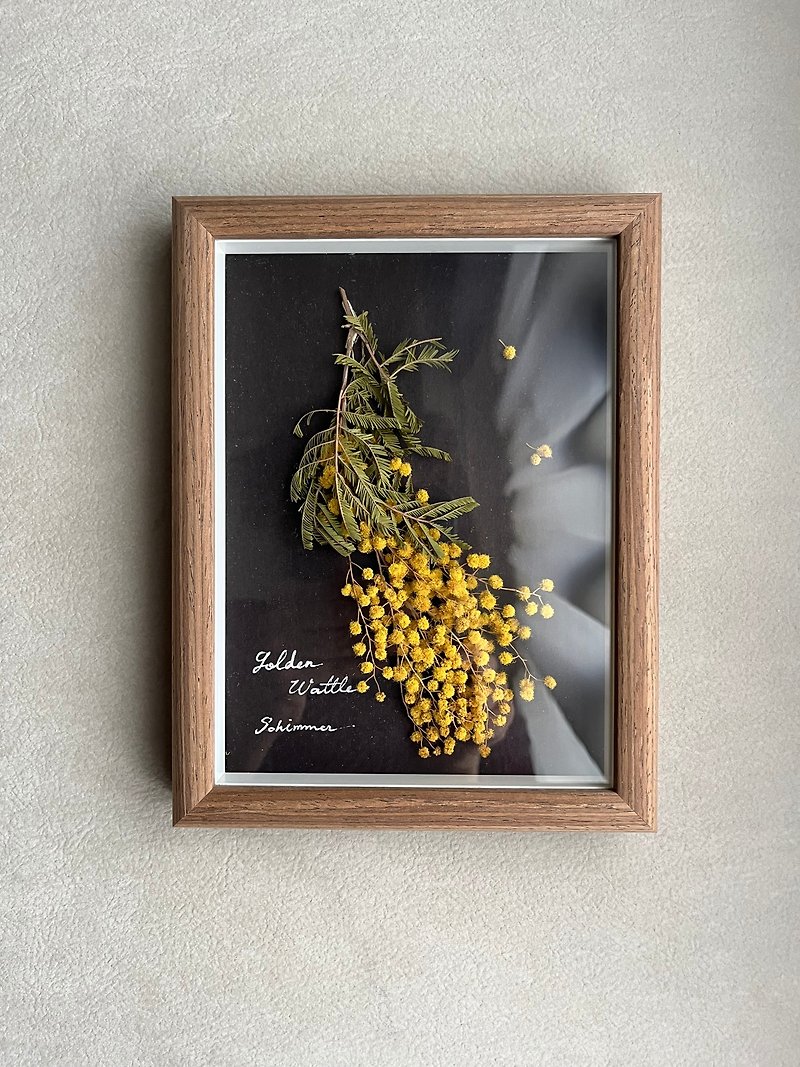 Natural dried flower Frame∣ Goldenwattle - Items for Display - Plants & Flowers Gray