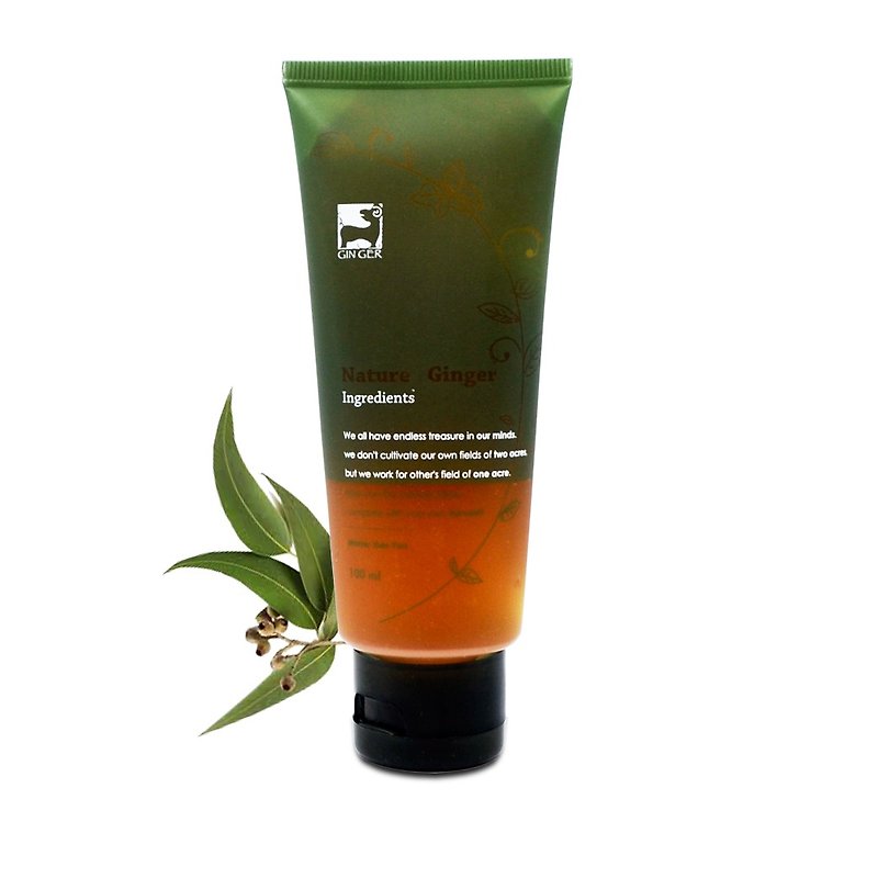 Eucalyptus Ginger Toothpaste_100ml - Toothbrushes & Oral Care - Concentrate & Extracts 
