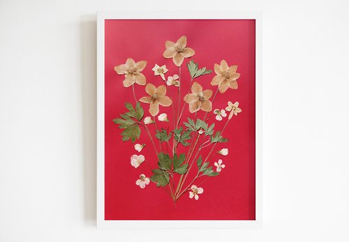 daashart Original pressed flower Windflowers White violets green dried plant Red artwork