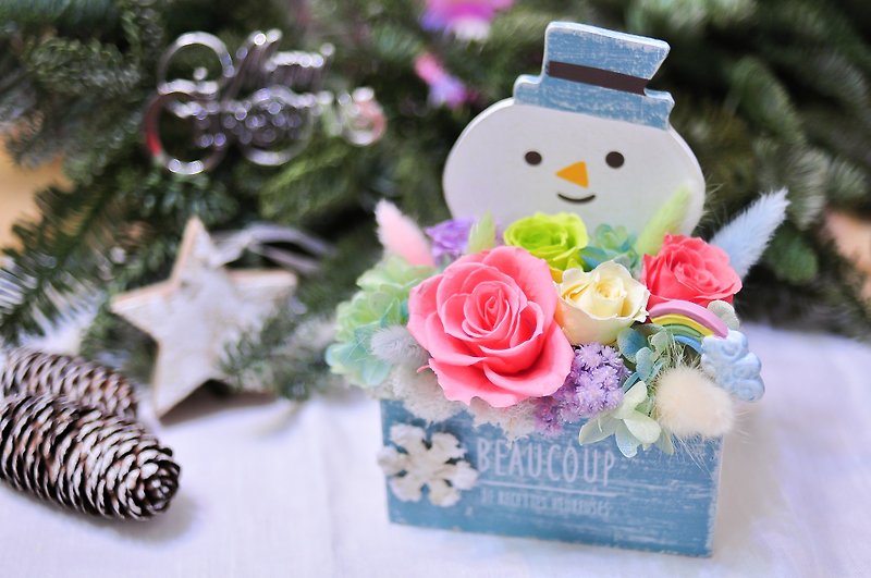The Snowman / snowmen rainbow star flower gift / Christmas gift - Plants - Plants & Flowers 