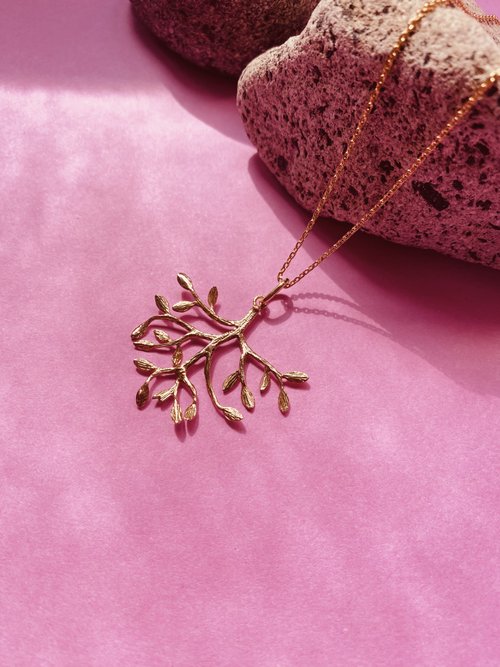 Lauds 辣籽 無花果樹 Sweet Fig