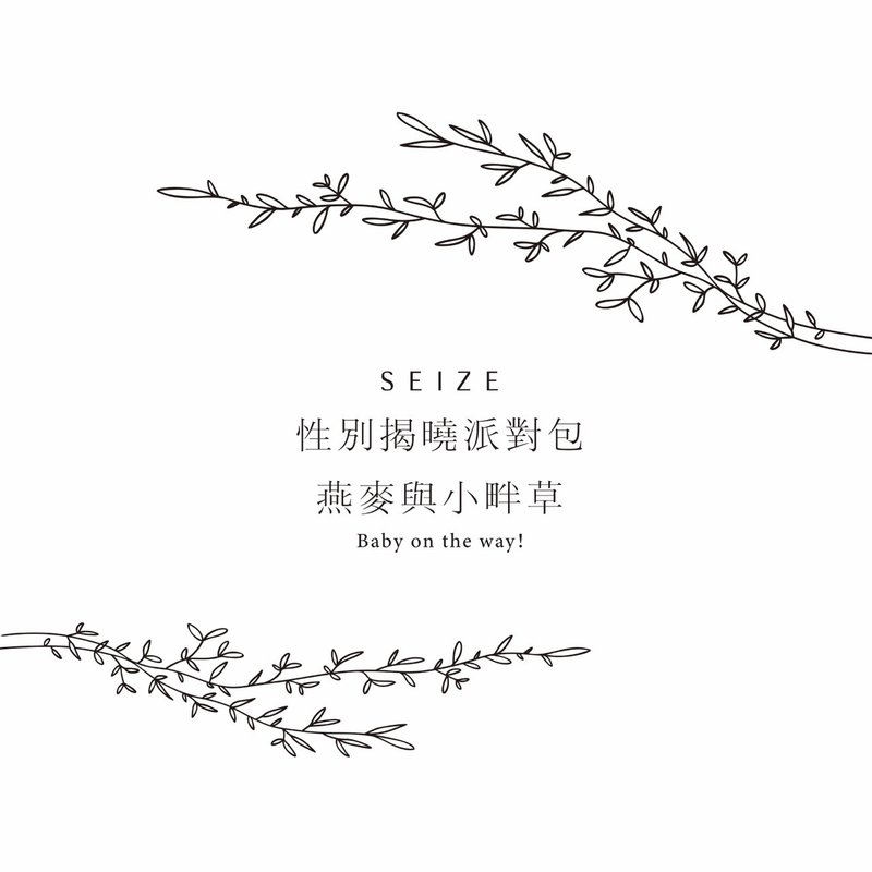 性別派對揭曉包-燕麥與小畔草款 - 其他 - 其他材質 