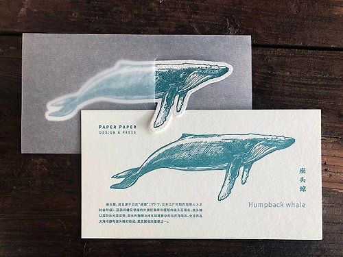 PaperPaper紙紙 鯨魚創意卡片 明信片書簽套裝 活版印刷製作