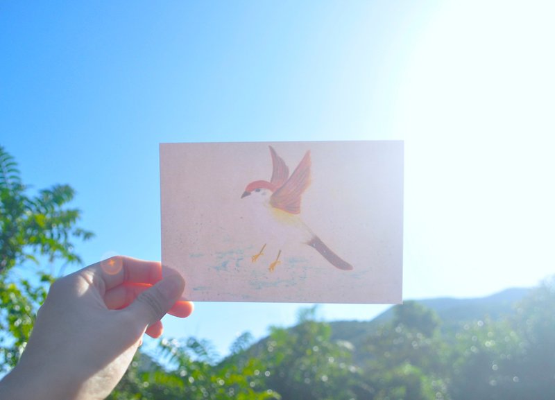 小鳥日和 - 麻雀的放鬆時間  明信片 - 心意卡/卡片 - 紙 粉紅色