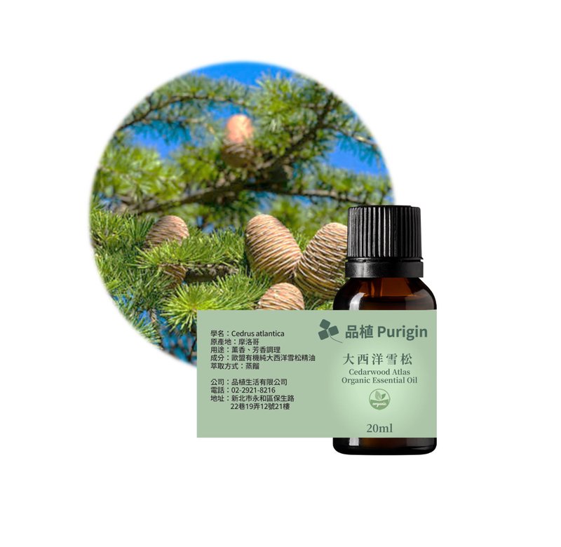 Purigin Atlantic cedar EU organic essential oil - Fragrances - Essential Oils 