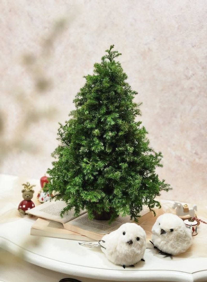 【材料包】抹茶森林聖誕樹純樹無裝飾品 交換禮物 聖誕禮物 - 乾燥花/永生花 - 植物．花 多色