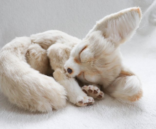 Realistic fennec fox toy - Shop MoonFoxToys Stuffed Dolls & Figurines -  Pinkoi