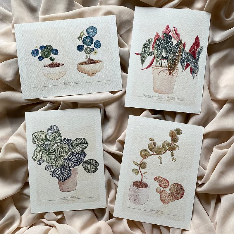レトロな観葉植物のイラスト-4種類のユニバーサルカード/ポストカード - カード・はがき - 紙 
